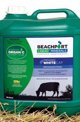Beachport Liquid Minerals: Liquid Livestock Supplements